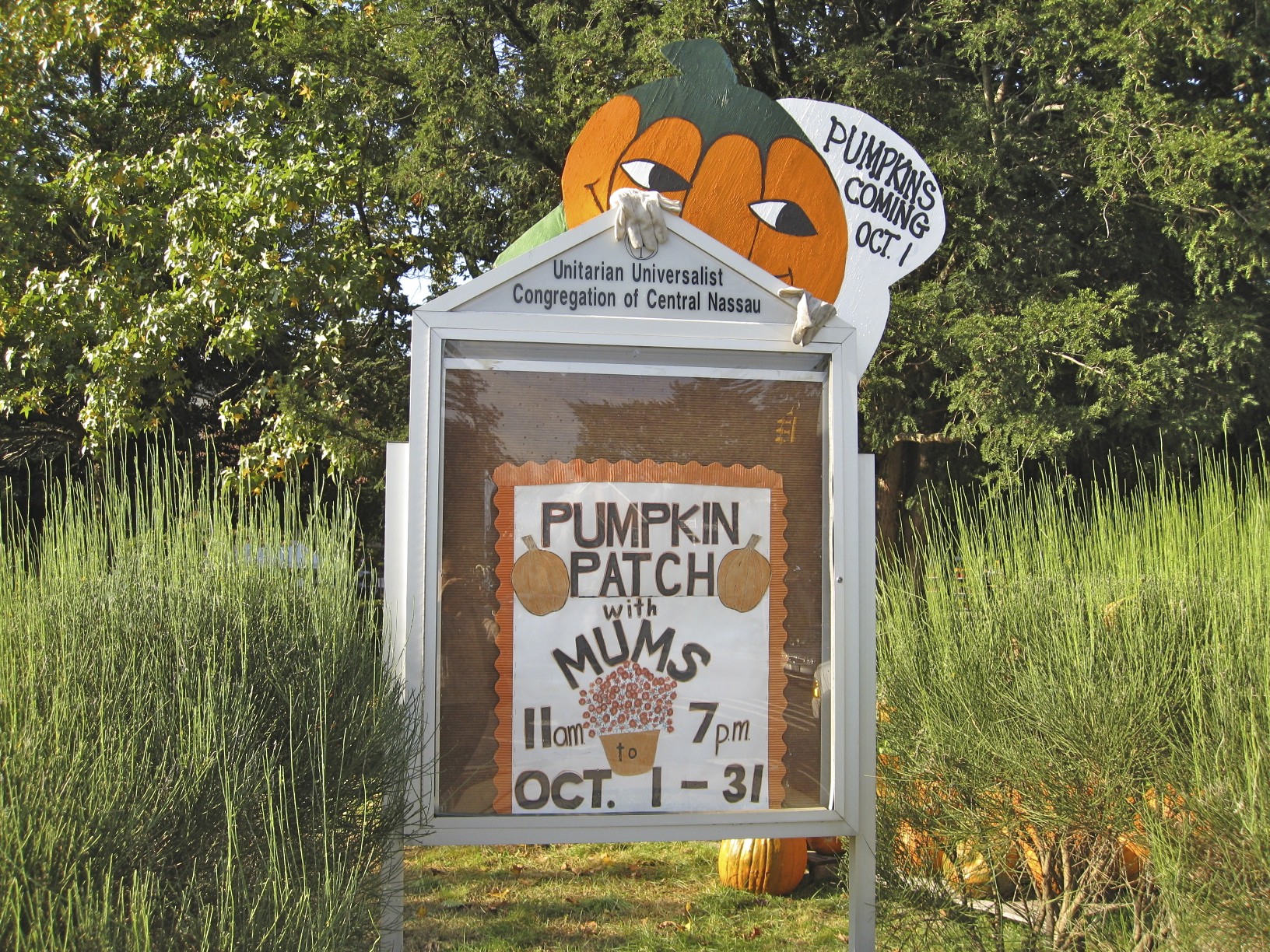 Congregation hosts pumpkin sale 