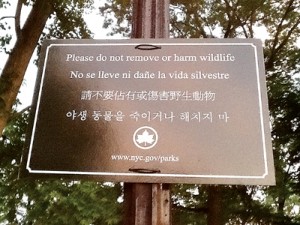 Bowne Park Sign
