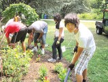 Queens Botanical Garden
