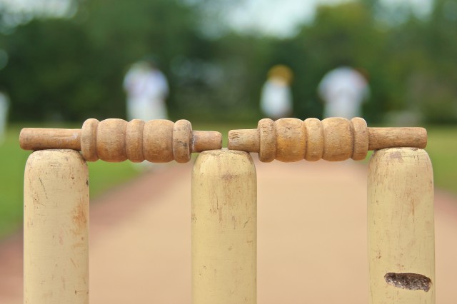 Cricket 10