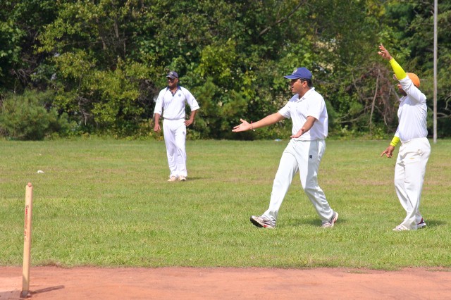 Cricket 8
