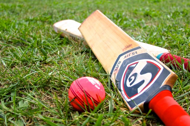 Cricket 3