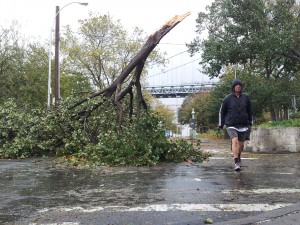 Man and tree