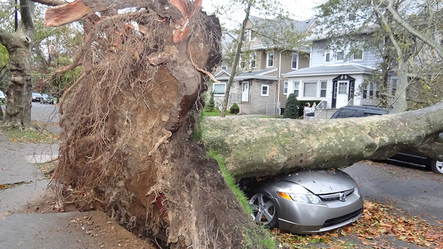 Sandy photo