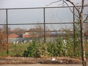 IMG_3666 Players at Red Hook ballfields